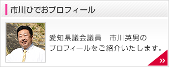 市川ひでおプロフィール